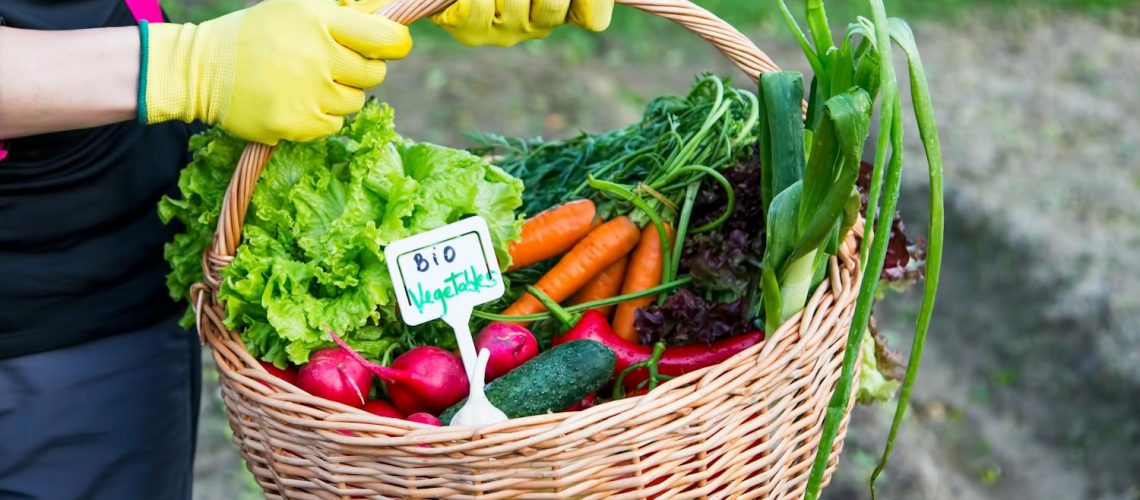 Faut-il manger des aliments bio pour vivre plus longtemps ?